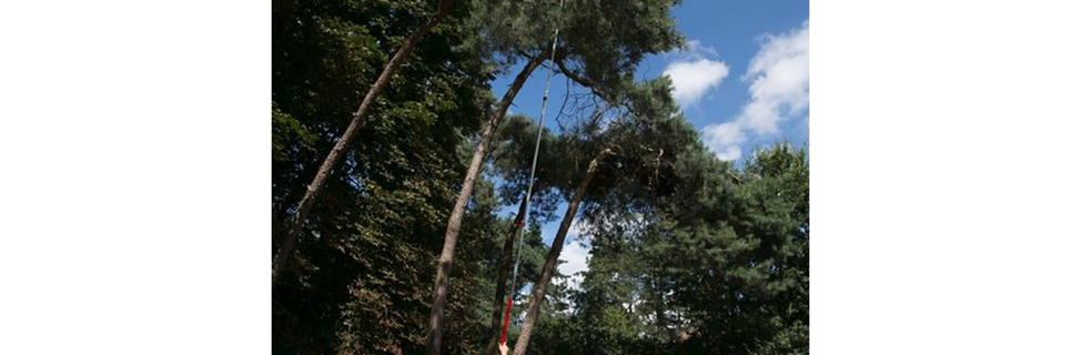 Telescopische stokzaag, draadzaag of hoogwerker?