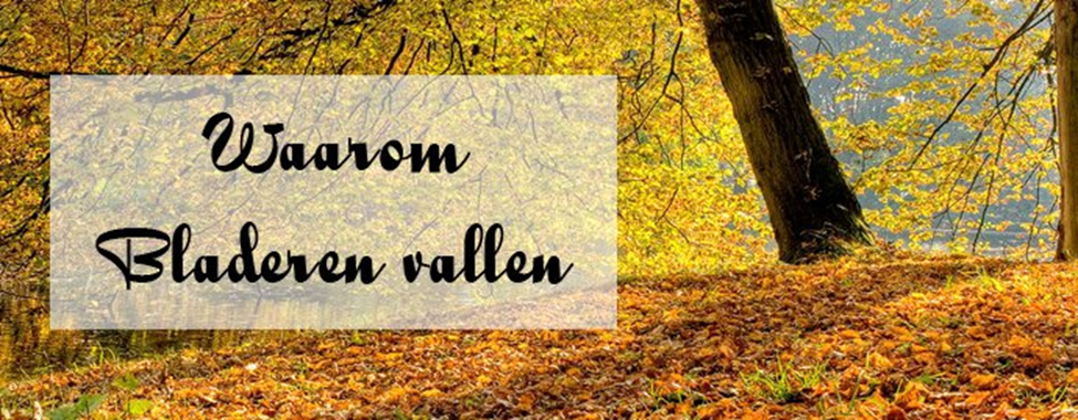 Waarom verliezen loofbomen hun bladeren? – update 2019