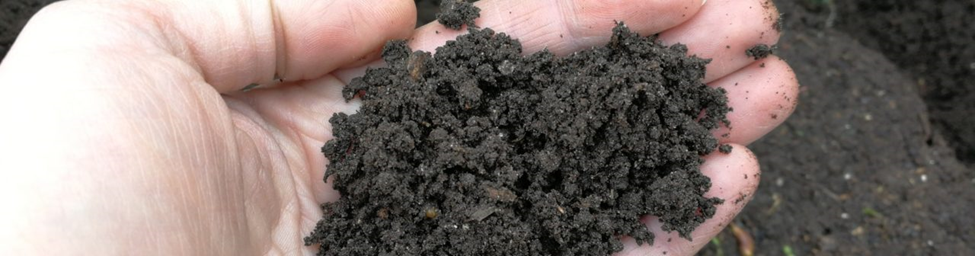 Welke rol speelt zuurtegraad (pH) in je grond voor je gras, planten en bomen?