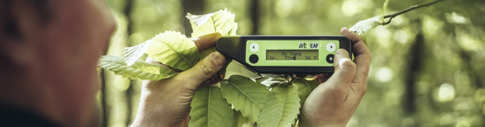 Wie bomen wil genezen, moet geduld hebben