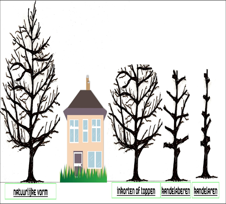 Afbeelding huis en bomen met tekst