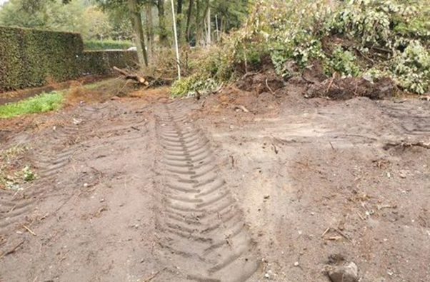 Wat zijn de gevolgen van bodemverdichting op je bomen en planten?