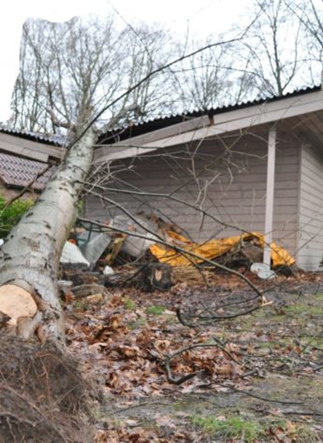 Omgevallen boom op huis