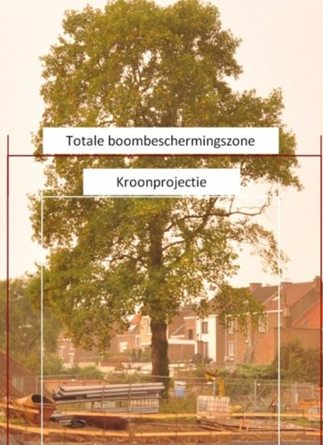 Boombeschermingszone