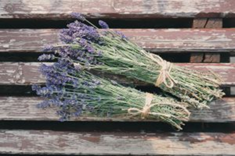 Boeket lavendel