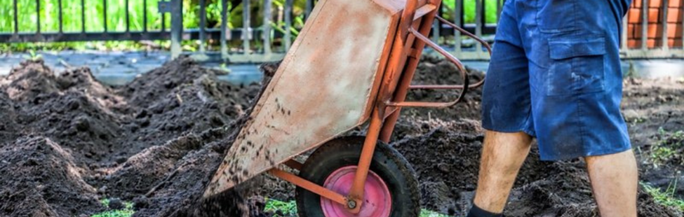 Ophogen van je tuin, slecht idee voor je bomen!