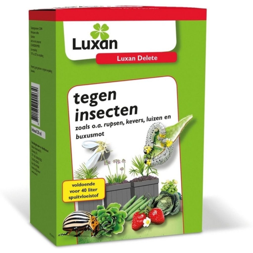 Insecticide