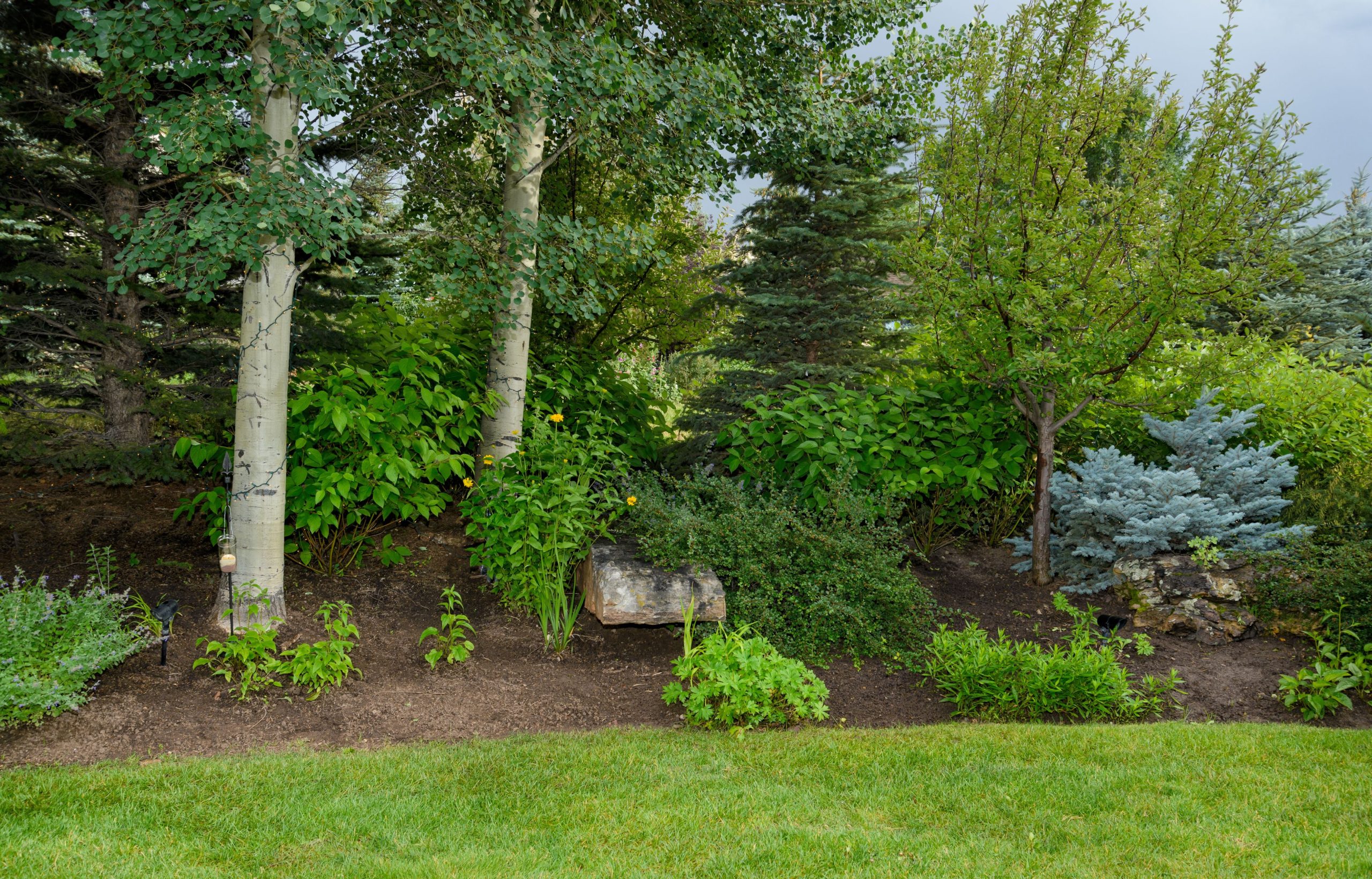 5 slimme tips voor een duurzame tuin: van bomen tot bestrating