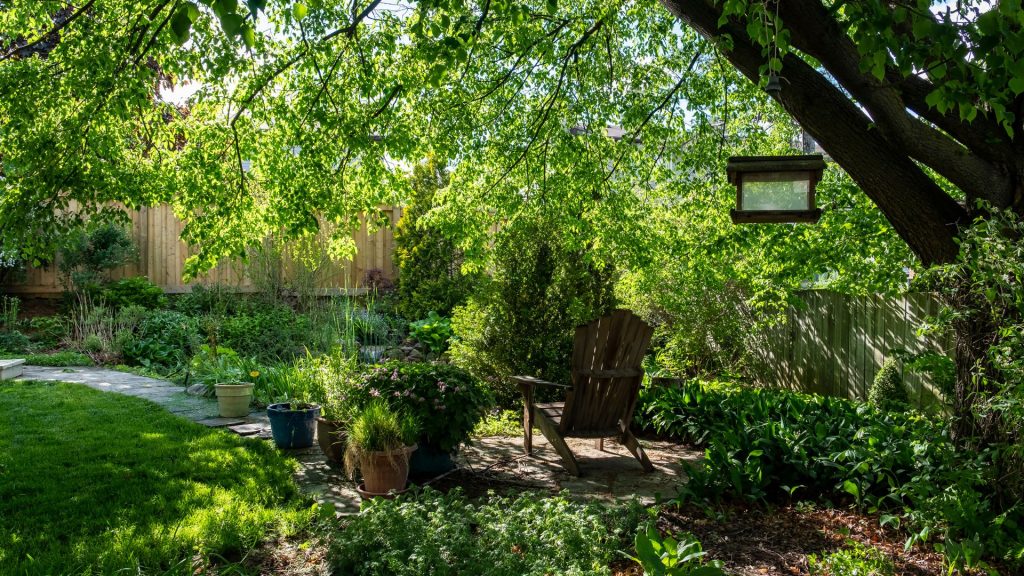 Een groene tuin met een overhangende boom